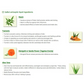 Boroline Suthol Active Neem Gel with Neem & Aloe Vera