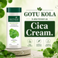 Biotique Bio Gotu Kola Smooth Skin Lotion For Dry and Dehydrated Body