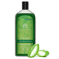 The Man Company Aloe Vera & Matcha Body Wash For Glowing & Smooth Skin Enriched With Green Tea & Moringa Leaf Extract | Swadesiicart