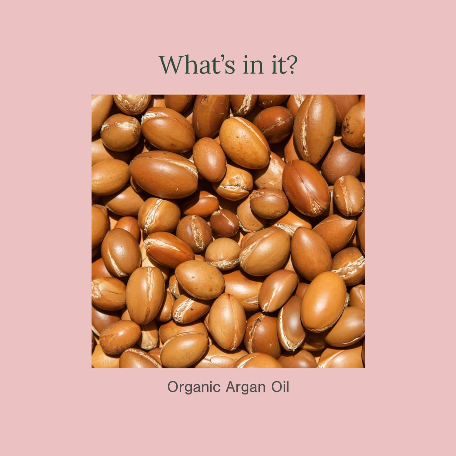 Organic Argan Oil