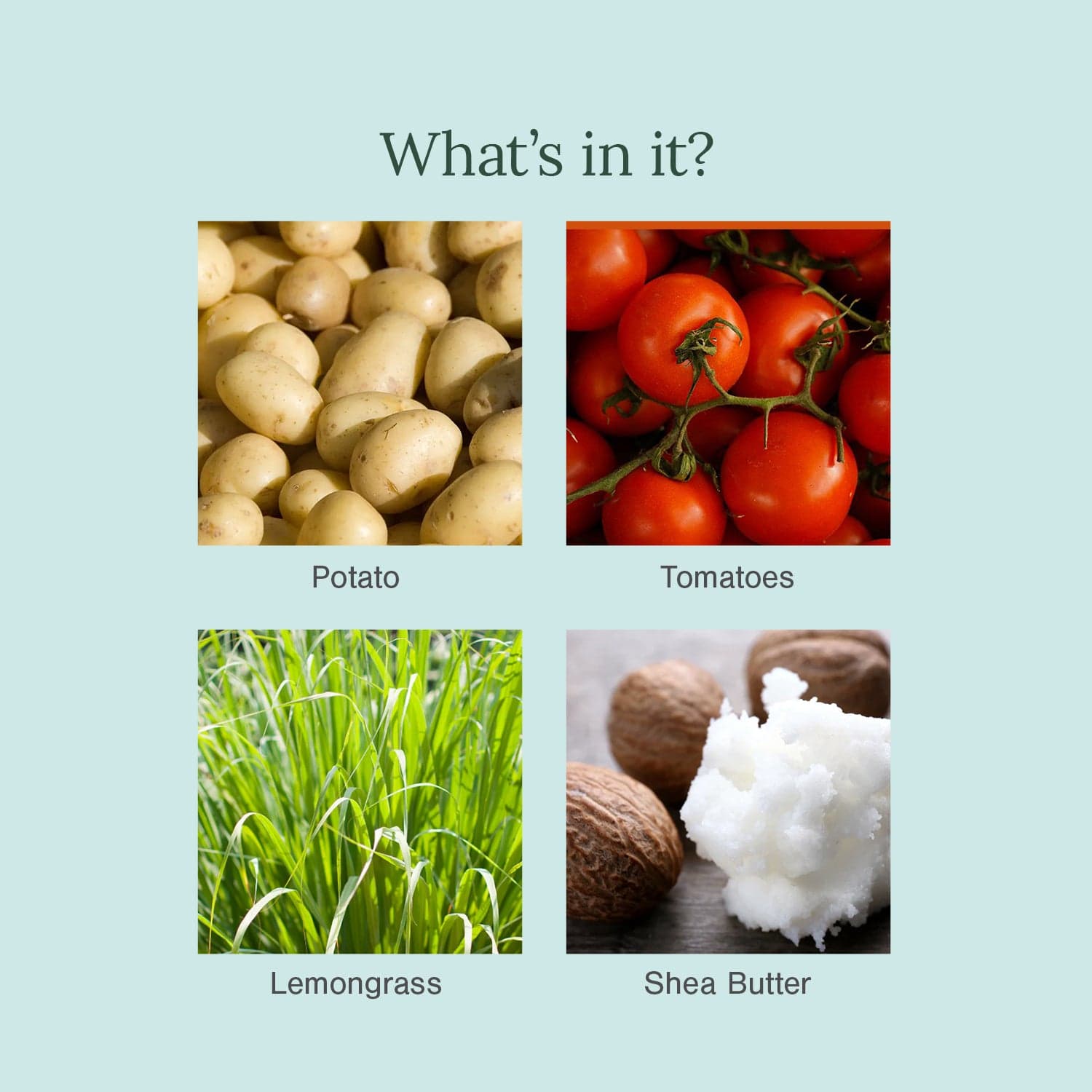 Ultra Moisturising & Luxury Organic Soap Fortified with Tomato + Potato