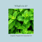 100% Pure & Organic Peppermint Essential Oil