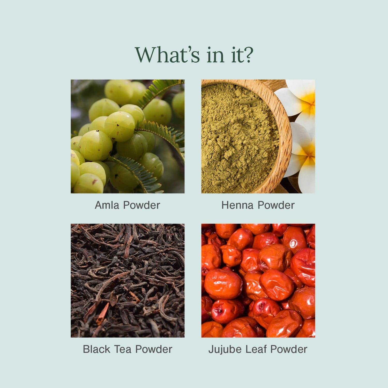Organic Soft Black Hair Colour Fortified with Henna + Amla