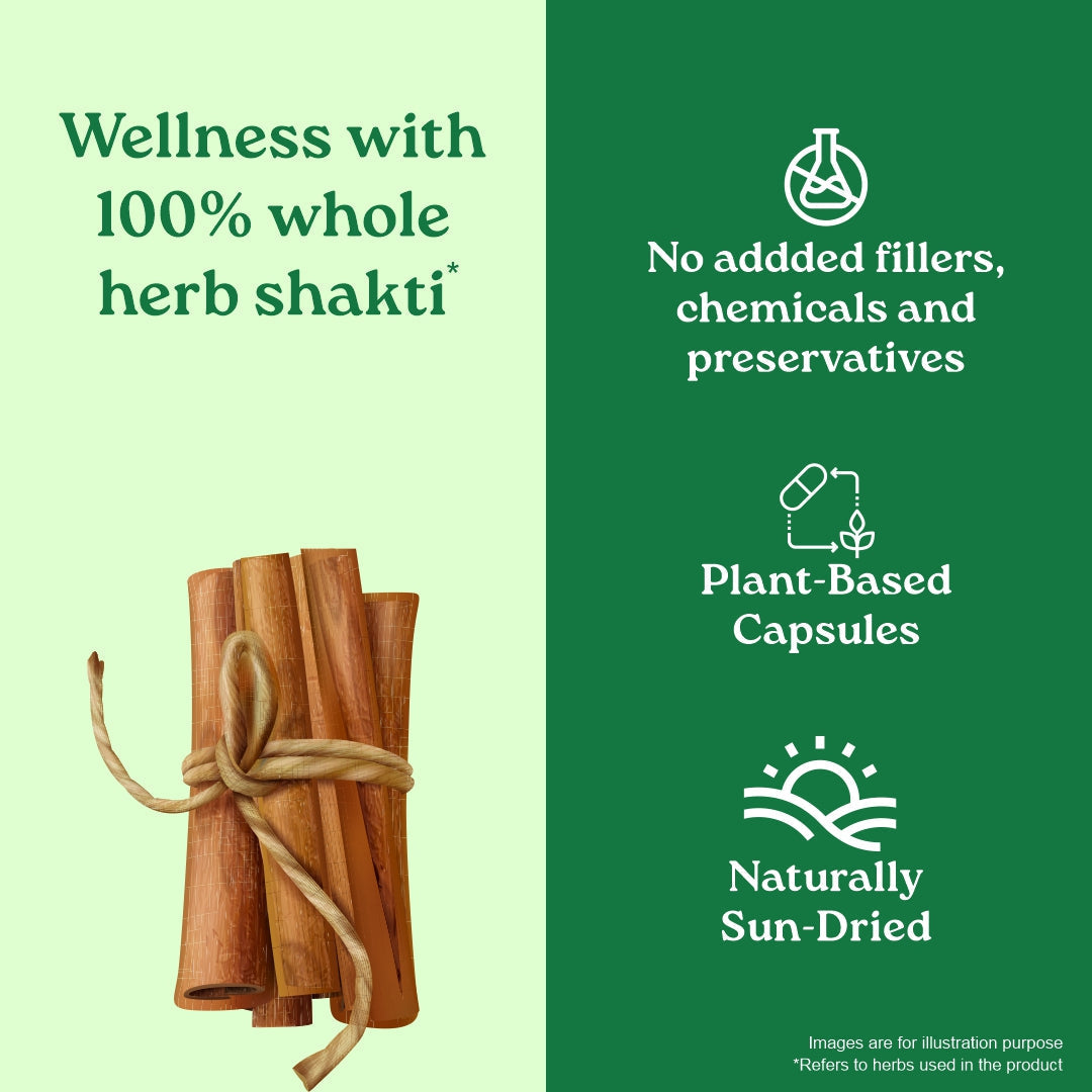 Cinnamon Capsules