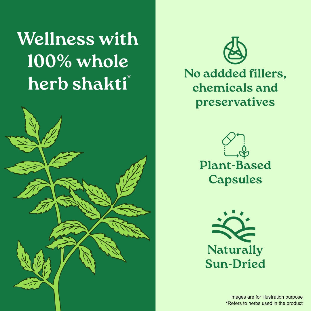 Neem Capsules