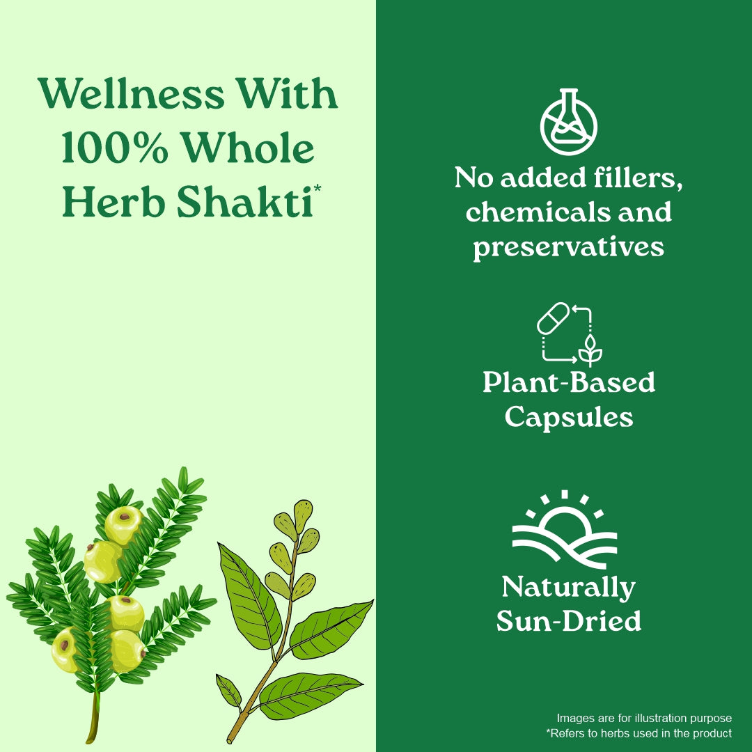 Triphala Capsules