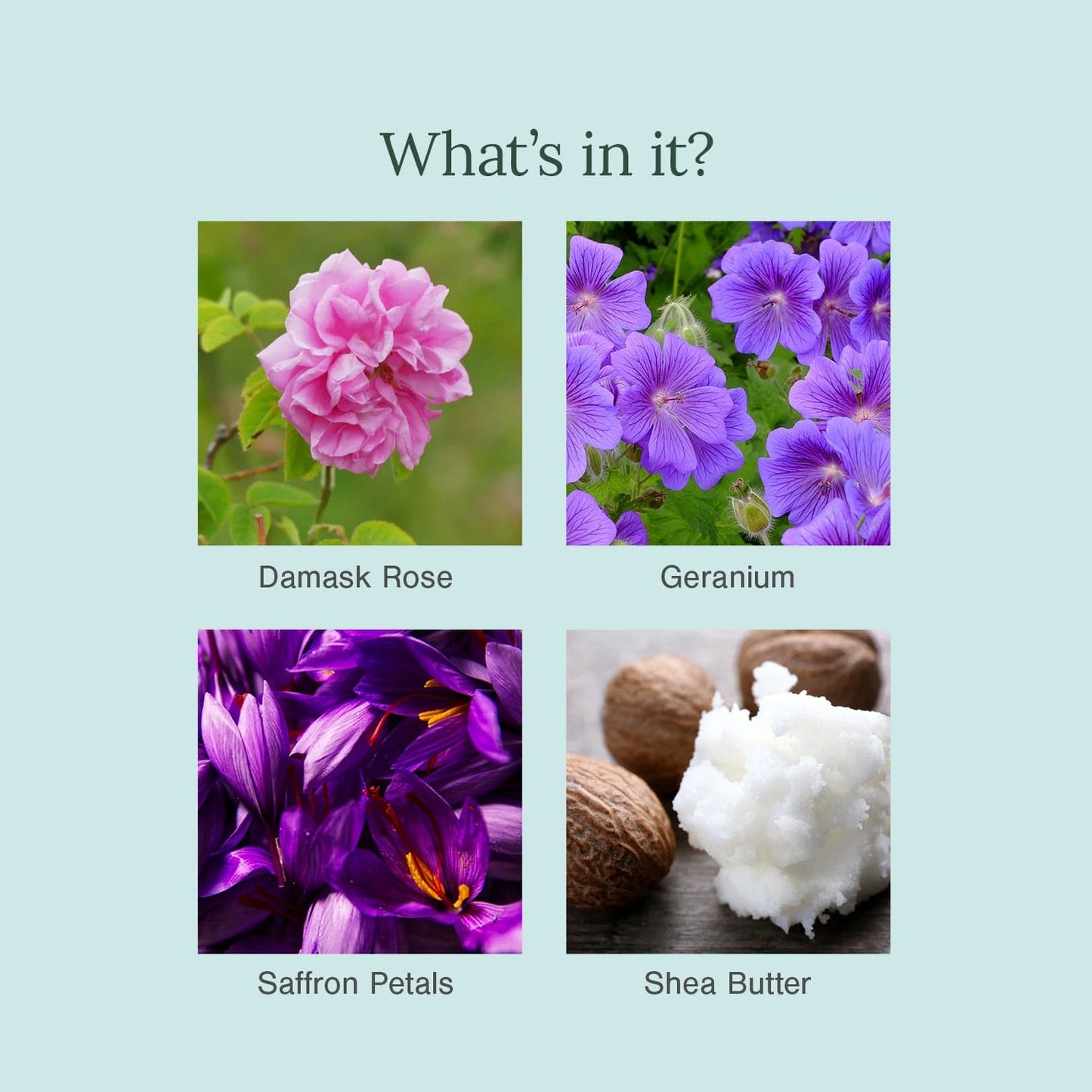 Ultra Moisturising & Luxury Organic Soap