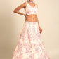 House of Panchhi Cream Net Sequins with heavy Zarkan embroidery Lehenga choli & Dupatta | Swadesiicart