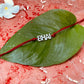 trueBrowns 925 Sterling Silver Bhai Thread Rakhi | Swadesiicart