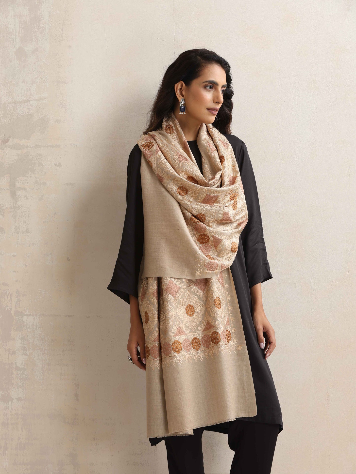 trueBrowns Beige Geometric Embroidered Woollen Stole | Swadesiicart