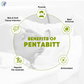 Pathak Ayurvedic Pharmacy Pentabitt - Swadesiicart