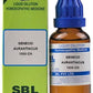 SBL Homeopathy Senecio Aurantiacus Dilution | Swadesiicart