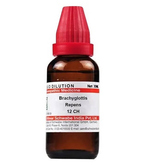 Dr. Willmar Schwabe India Brachyglottis Repens Dilution | Swadesiicart