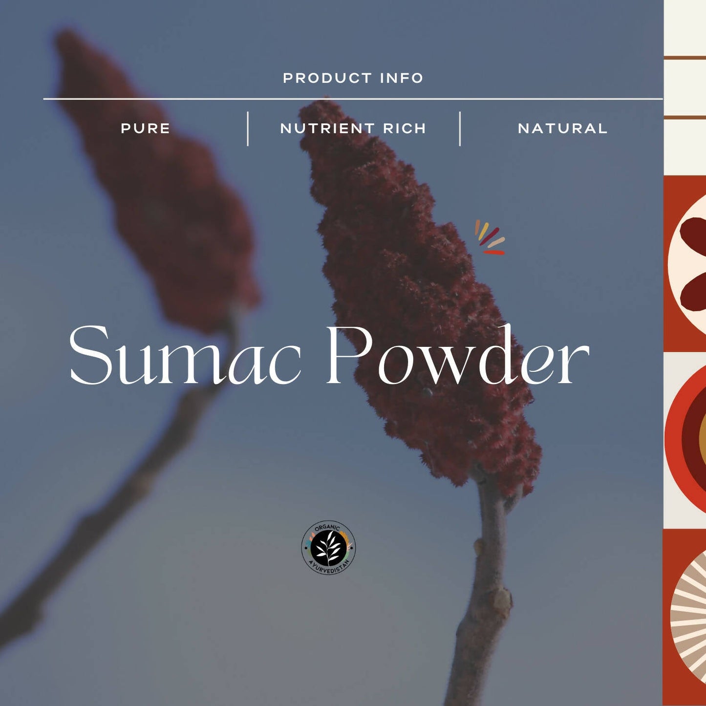 Organic Ayurvedistan Sumac Powder - Swadesiicart