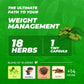 Grassy Life Weight Balance Capsules | Swadesiicart