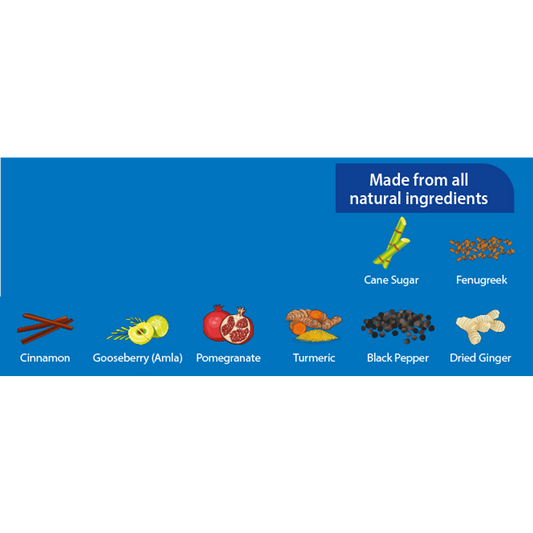 Diabliss Diabetic Friendly Sugar Sachets - Limited Time Offer - Swadesiicart