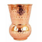 Copper Glass Tumbler, Drink ware & Serve ware - Set Of 2 - Swadesiicart