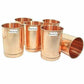 Copper Glass Drinkware - Set of 6 - Swadesiicart