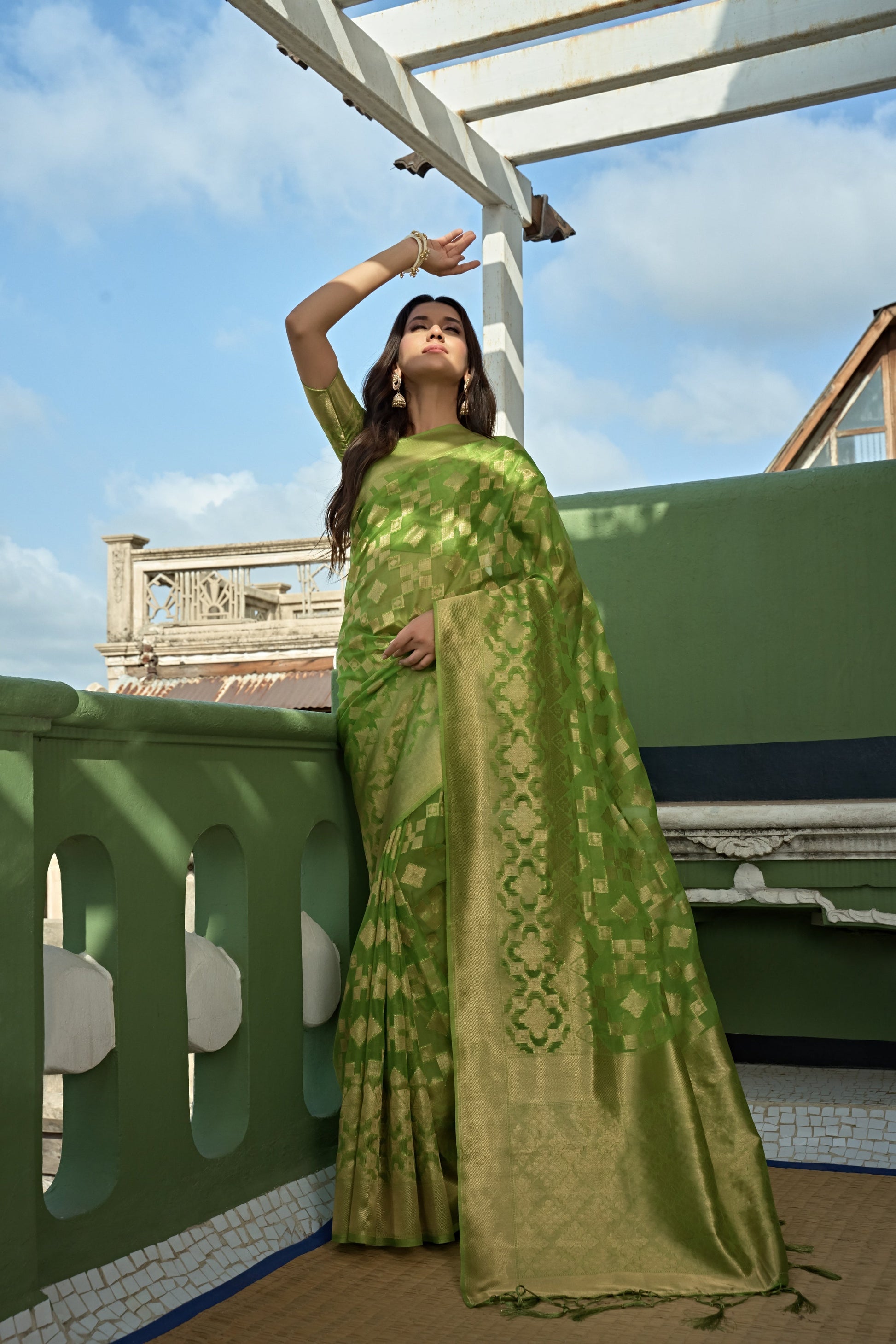 Vardha Lime Green Golden Zari Banarasi Organza Saree | Swadesiicart