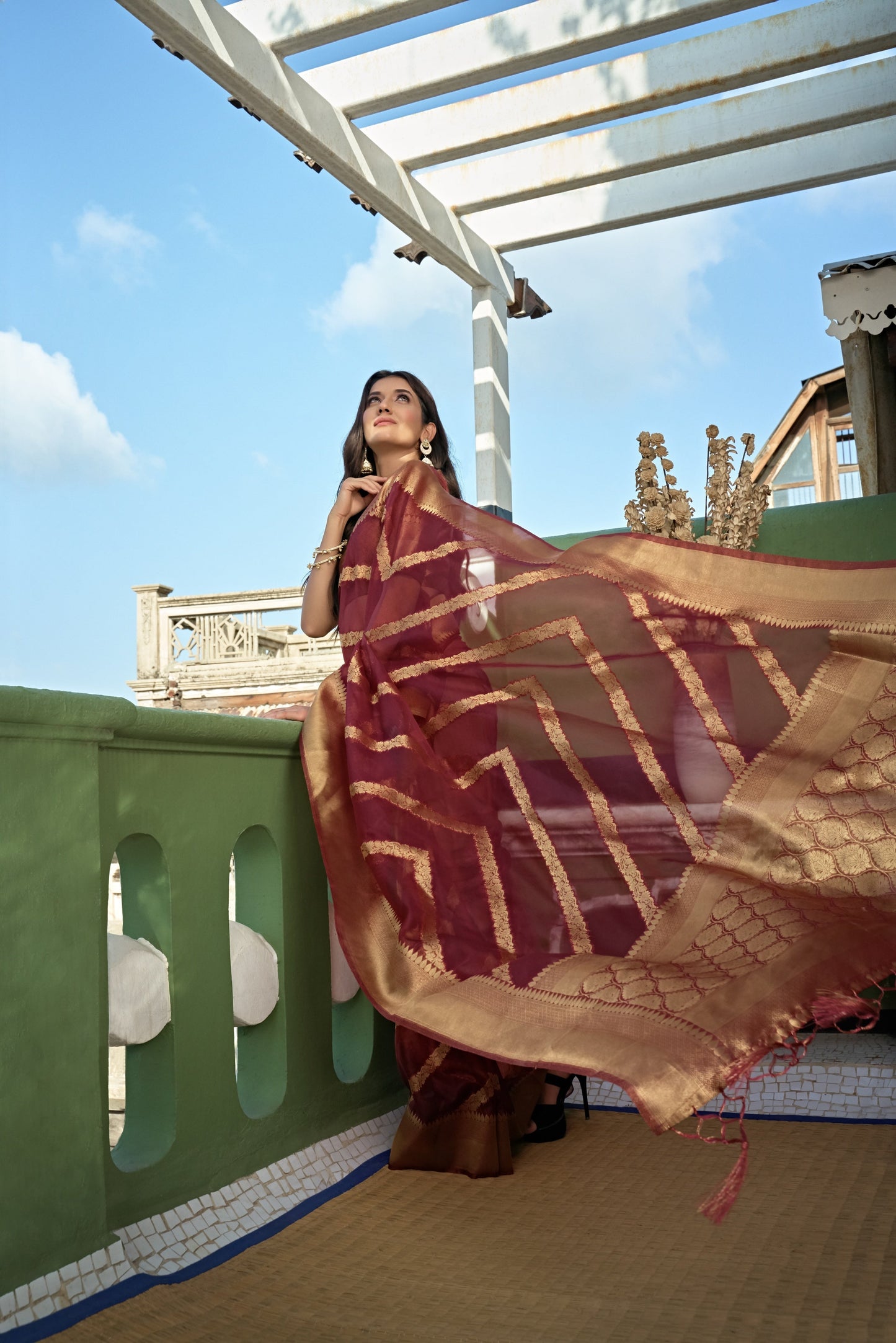 Vardha Ruby Red Golden Zari Banarasi Organza Saree | Swadesiicart