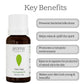 Aroma Treasures Clary Sage Pure Essential Oil