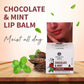 Ayouthveda Chocolate & Mint Lip Balm - Swadesiicart