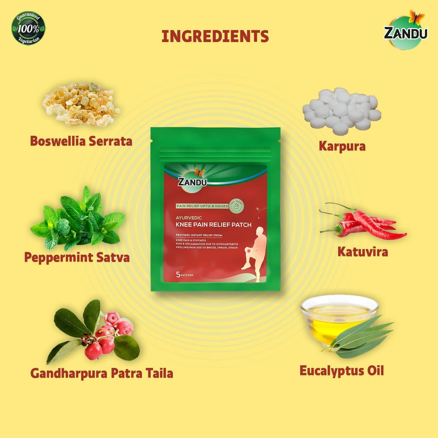 Zandu Ayurvedic Knee Pain Relief Patch - Swadesiicart