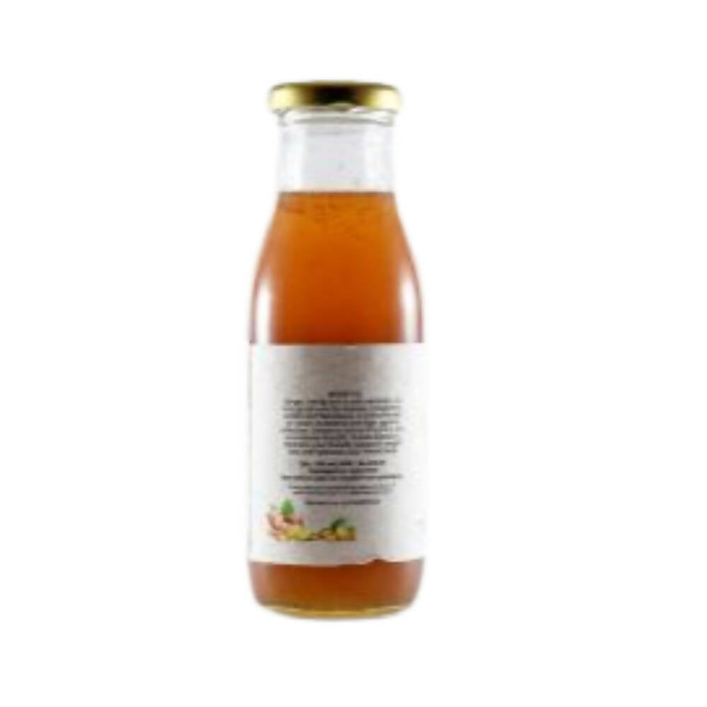 Native Circle Lemon Ginger Syrup | Swadesiicart