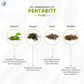 Pathak Ayurvedic Pharmacy Pentabitt - Swadesiicart