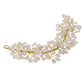 NVR Women Embellished Beaded Hair Accessory Set | Swadesiicart