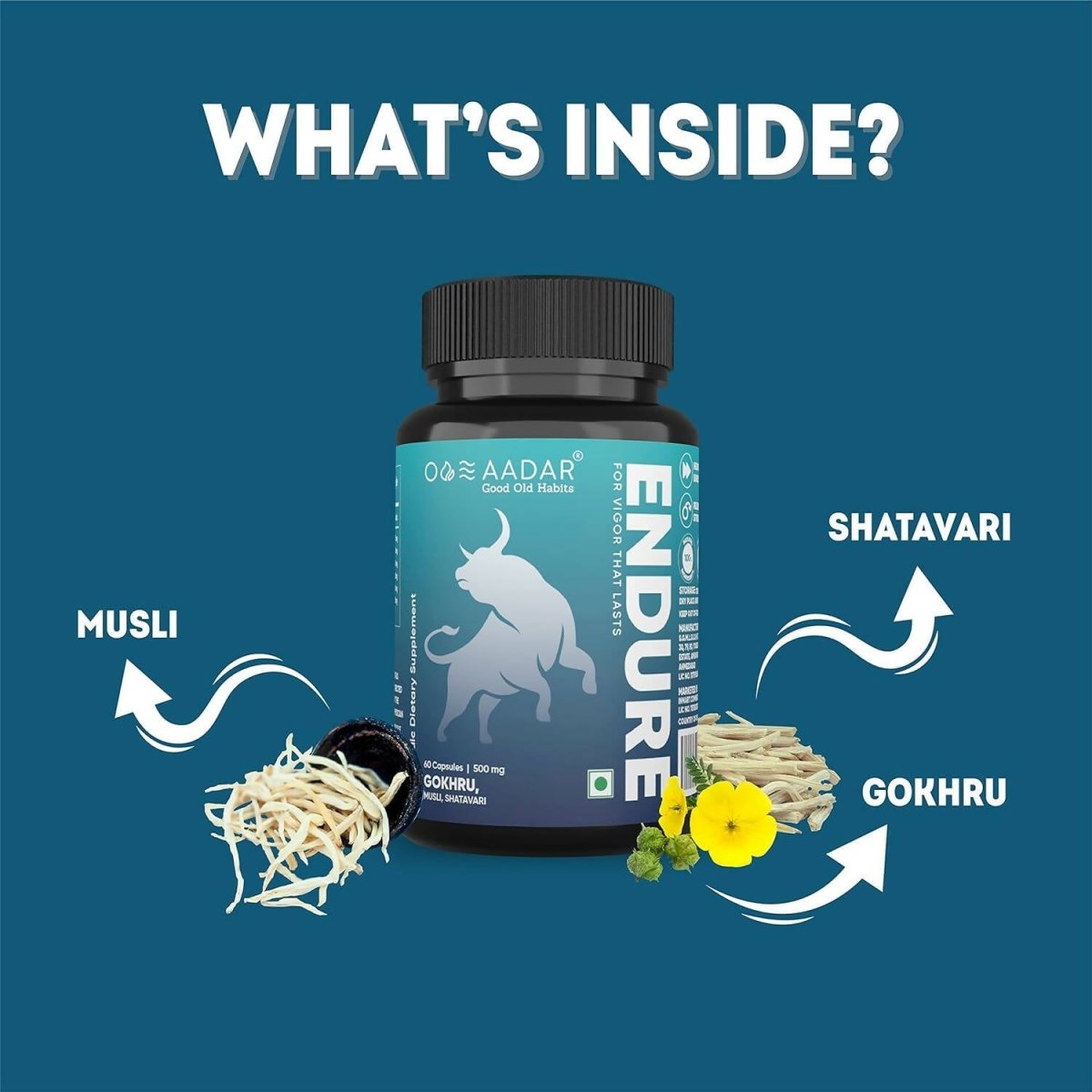 Aadar Endure 500mg Capsules - Swadesiicart