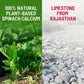Gynoveda Spinach Calcium Drops | Swadesiicart