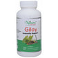 Naturz Ayurveda Giloy Tablets | Swadesiicart