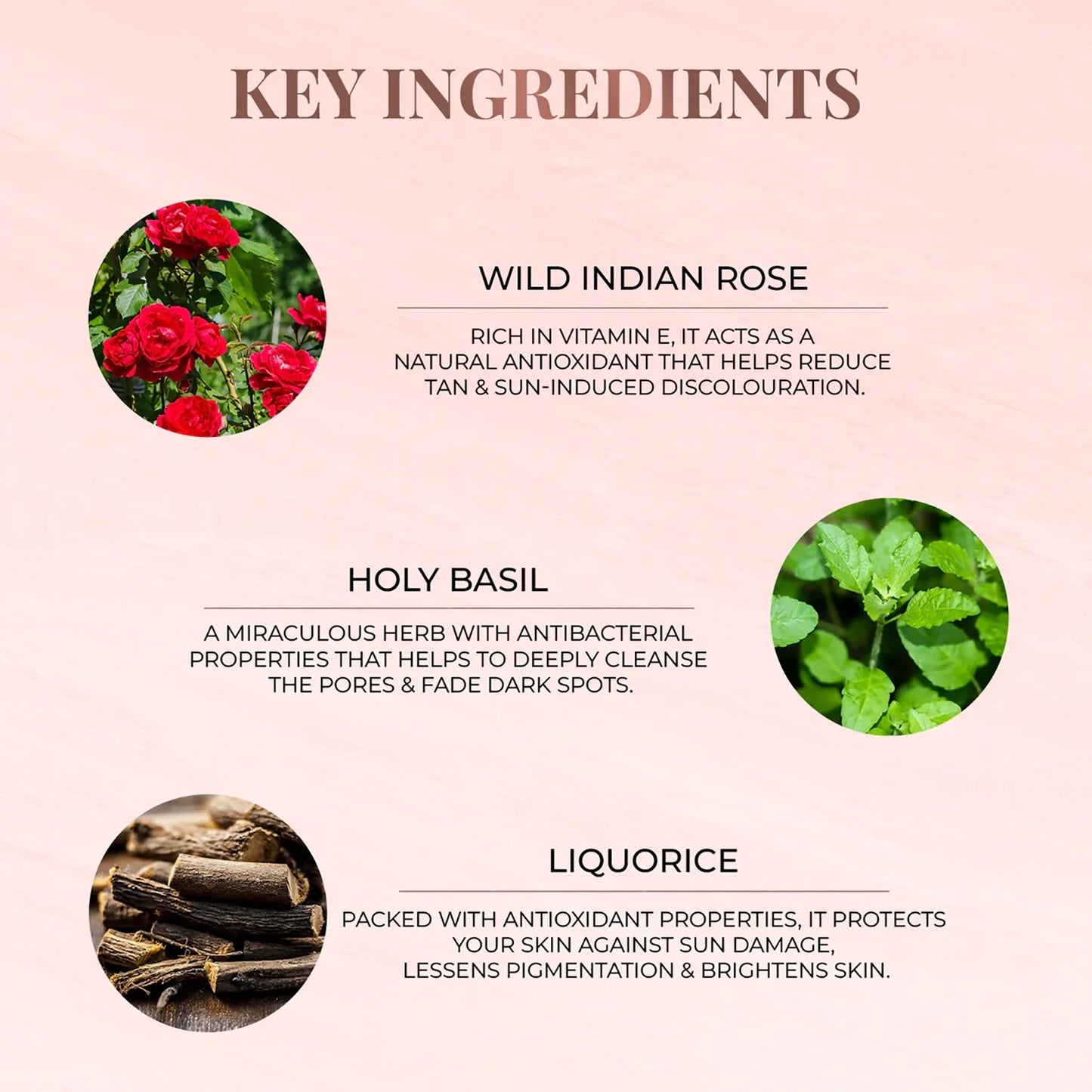 Anti-Tan Face Pack - Wild Indian Rose