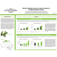Haappyherbs C Shine 20% Vitamin C Absorption Booster Serum