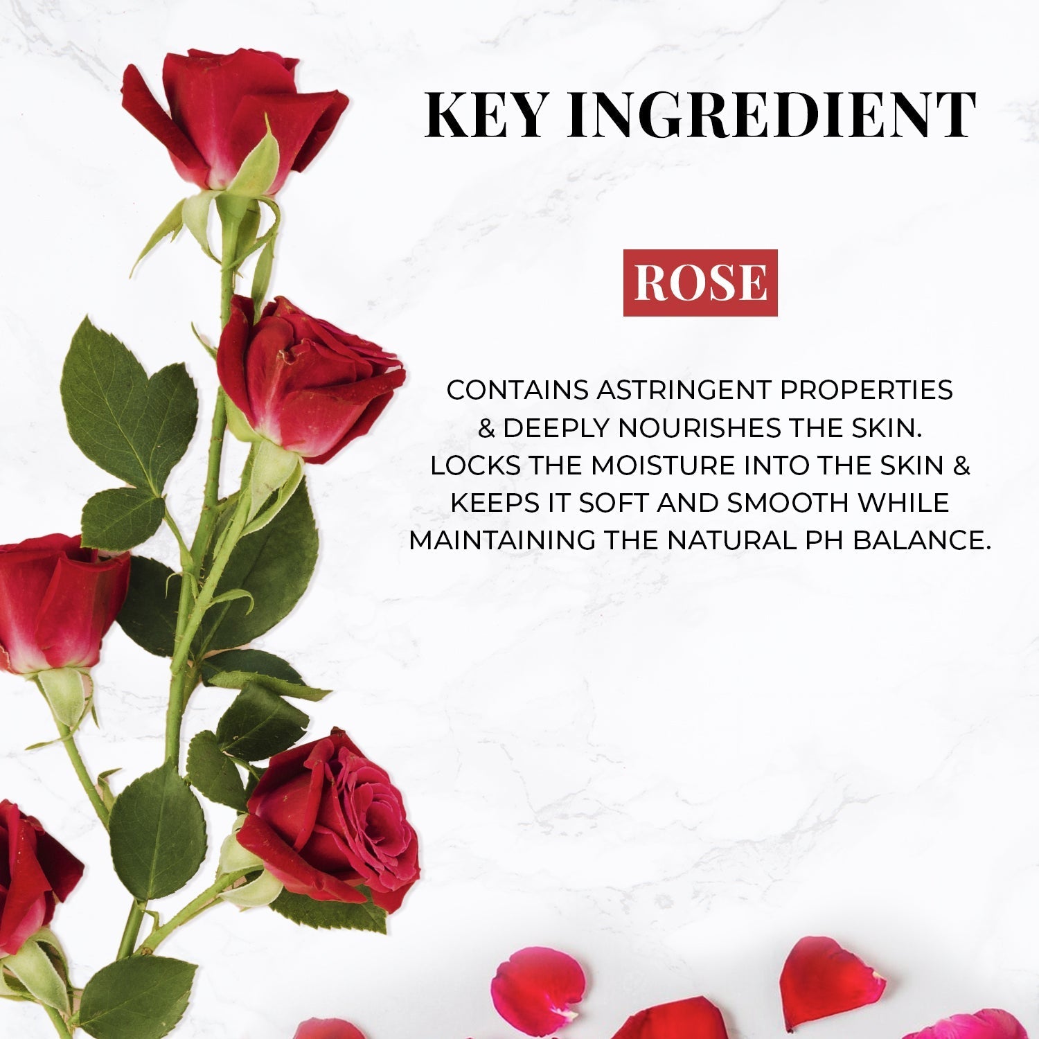 Wild Indian Rose Nourishing Handmade Bathing Bar:Pack of 1