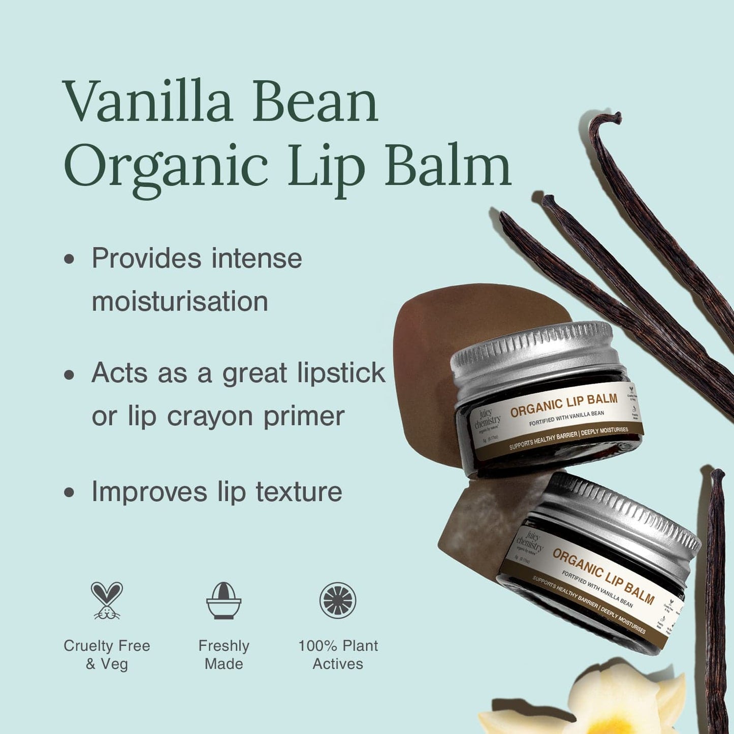Organic Lip Balm Fortified with Vanilla Bean