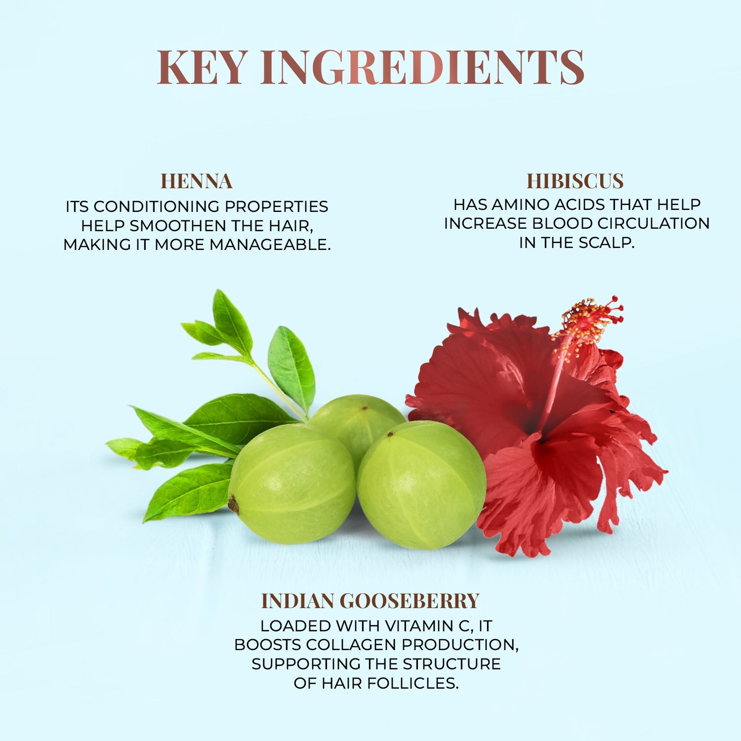 Javakusum Hair Oil (Copy)