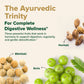 Triphala High Strength with Amla, Bibhitaki, Haritaki Extract