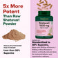 Shatavari 1000mg High Strength