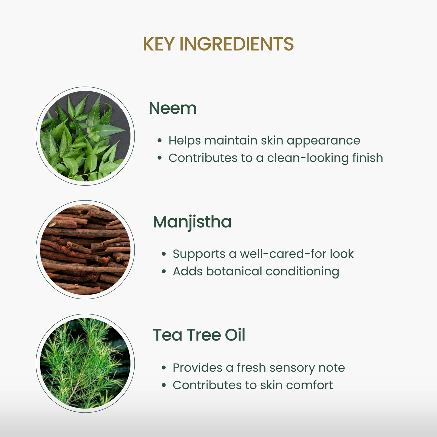 Nourishing Foot Oil