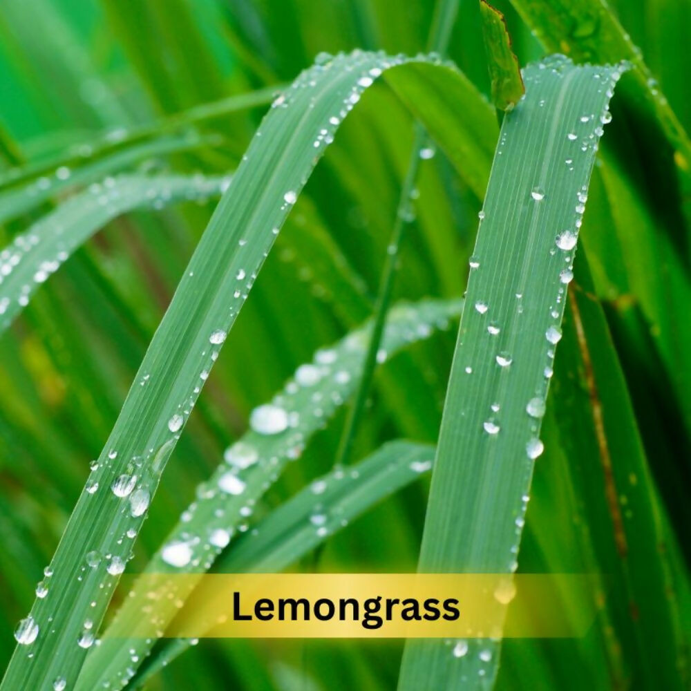 Prakriti Herbal Soap Lemongrass - Swadesiicart