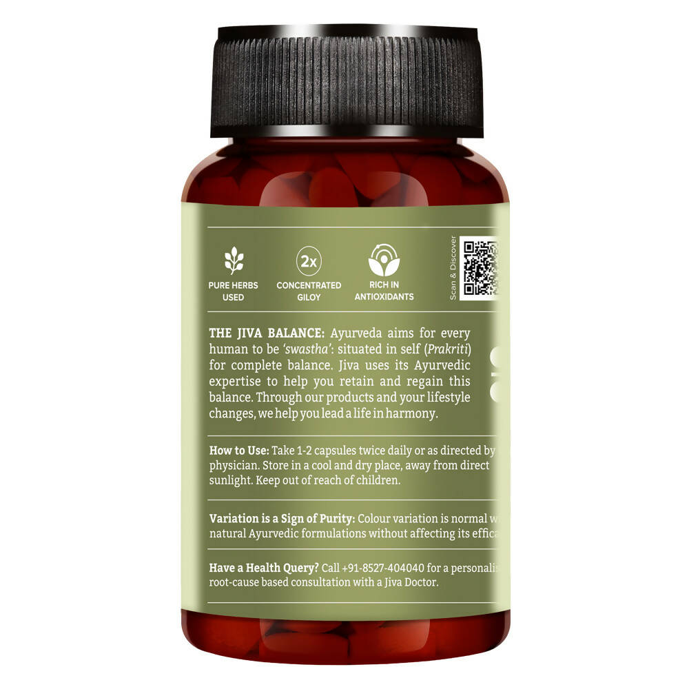 Jiva Ayurveda Giloy Capsules - Swadesiicart