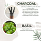 Astaberry Charcoal Face Wash- Detox & Glow