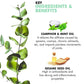 Inatur Karpooradi Oil | Swadesiicart