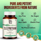 Nirogam Sleepmitram Tablets - Swadesiicart