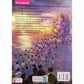 Tell Me About Festivals of India -Author By Anurag Mehta - Swadesiicart