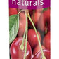Avon Naturals Cherry Lip Balm