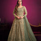 Anaita Green Embroidered Net Anarkali Suit