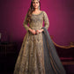 Anaita Grey Embroidered Net Anarkali Suit